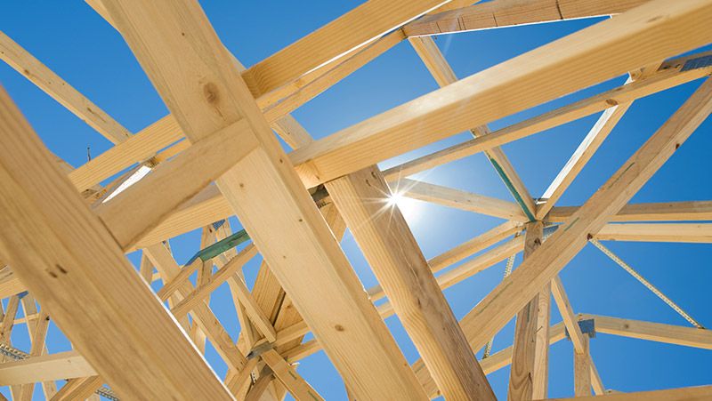 Holzbau